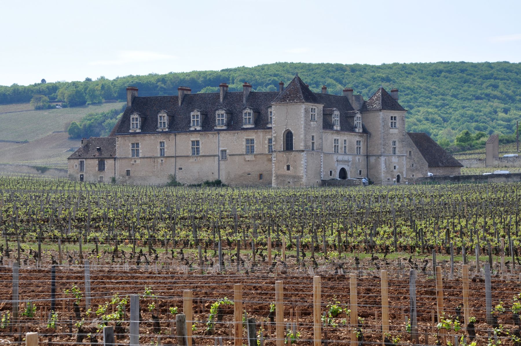 Clos Vougeot